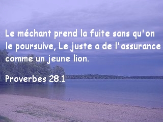 Proverbes 28.1