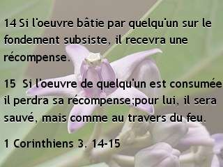 1 Corinthiens 3. 14-15