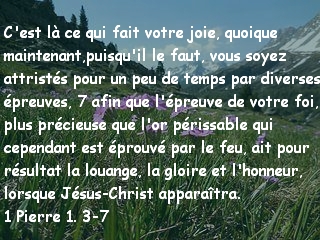 1 Pierre 1 . 3-7