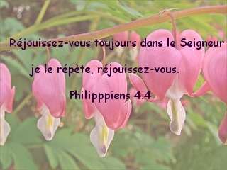Philipppiens 4.4
