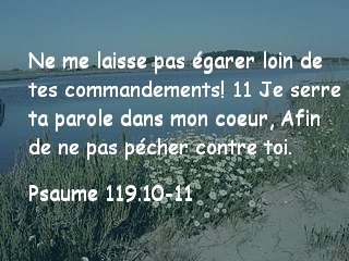 Psaume 119.10-11