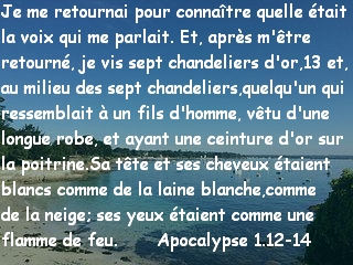 Apocalypse 1.12-14
