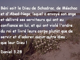 Daniel 3.28.jpg