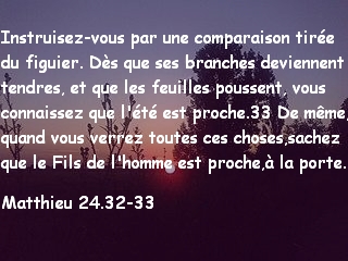 Matthieu 24.32-33.jpg