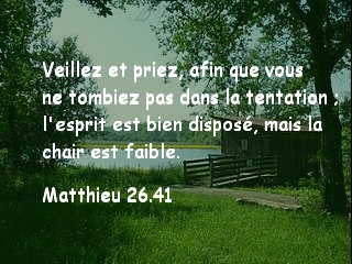 Matthieu 26.41.jpg