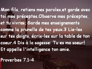 Proverbes 7.1-4.jpg
