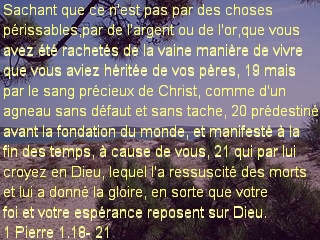 1 Pierre 1.18- 21.jpg