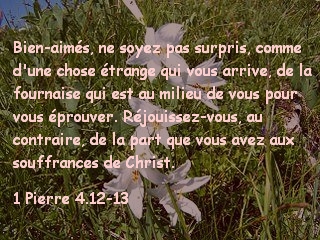 1 Pierre 4.12-13.