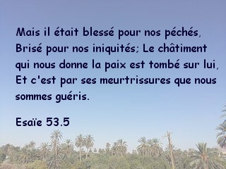 Esaïe 53.5...jpg