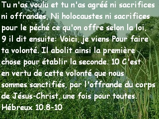 Hébreux 10.8-10