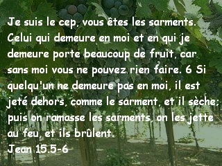 Jean 15.5-6