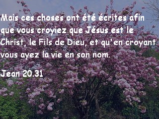 Jean 20.31.jpg