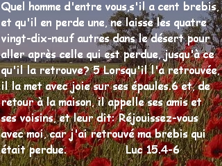 Luc 15.4-6