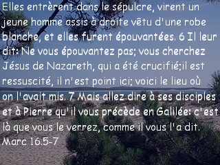 Marc 16.5-7.jpg