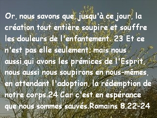 Romains 8.22-24.jpg