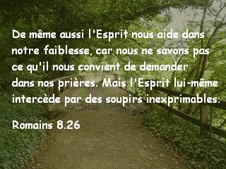 Romains 8.26