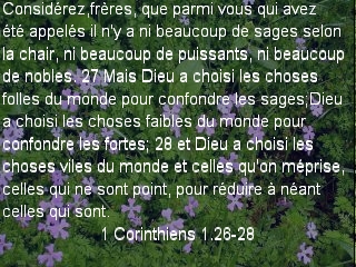 1 Corinthiens 1.26-28