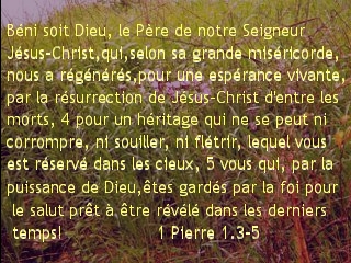 1 Pierre 1.3-5