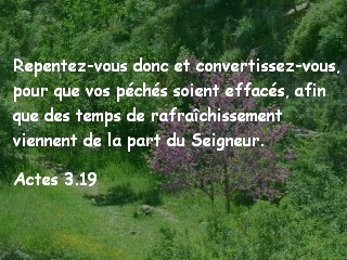 Actes 3.19
