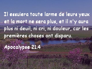 Apocalypse 21.4