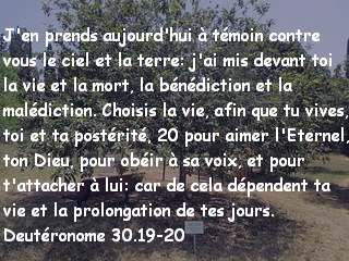Deutéronome 30.19-20
