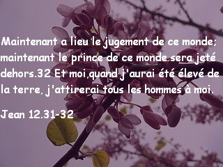 Jean 12.31-32