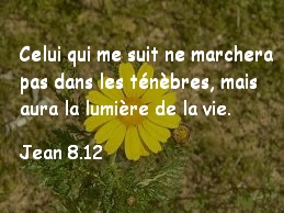 Jean 8.12