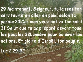 Luc 2.29-32.