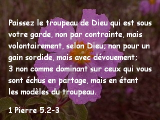 1 Pierre 5.2-3.jpg
