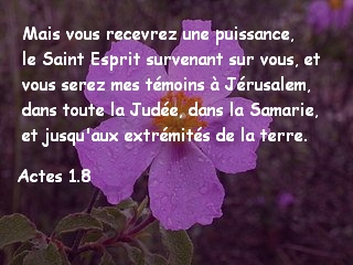 Actes 1.8.