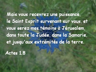 Actes 1.8