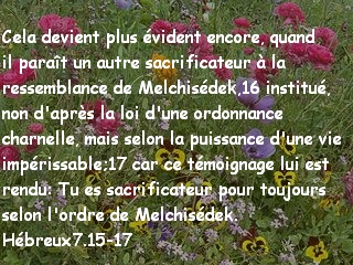 Hébreux7.15-17.jpg