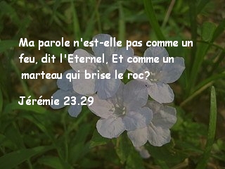Jérémie 23.29