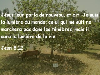 Jean 8.12.