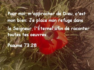Psaume 73.28.jpg
