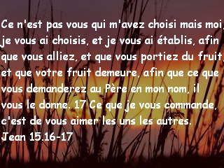 Jean 15.16-17