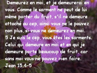 Jean 15.4-5