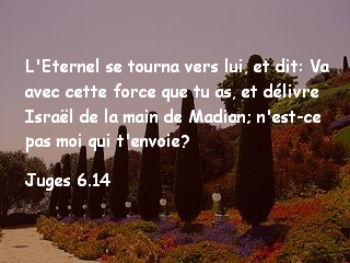  Juges 6.14