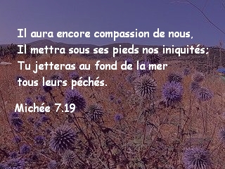 Michée 7.19