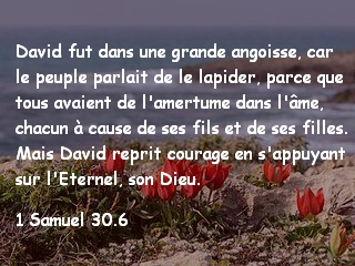 1 Samuel 30.6.