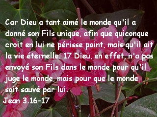 Jean 3.16-17