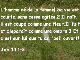 Job 14.1-3