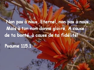 Psaume 115.1..