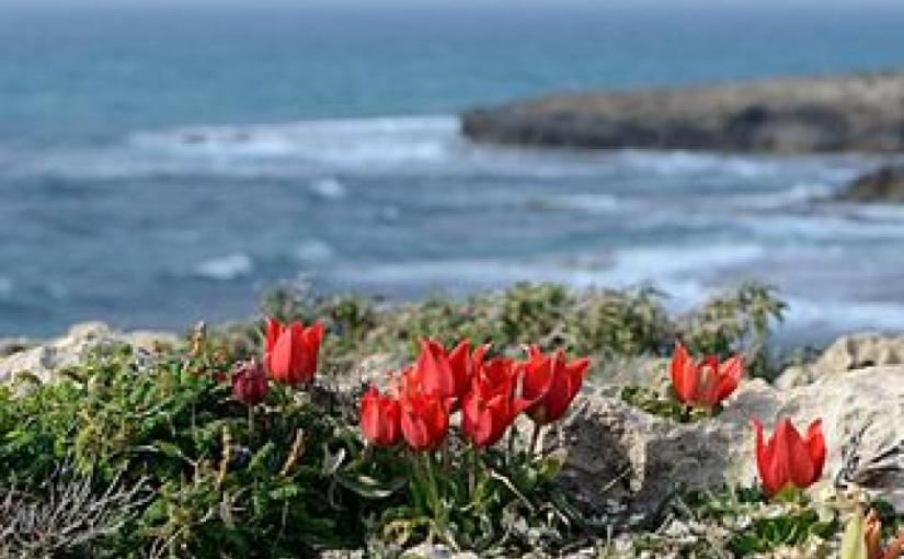 Beautiful instrumental hymns for Easter and Resurrection Sunday with harps, pianos, strings, flutes, and other instruments. By Christian Hymns & Gospel&nbsp;Music