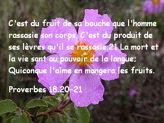 Proverbes 18.20-21.jpg