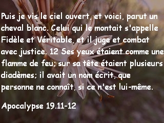 Apocalypse 19.11-12
