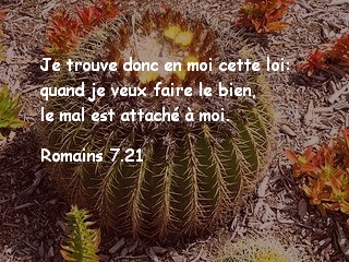Romains 7.21.jpg