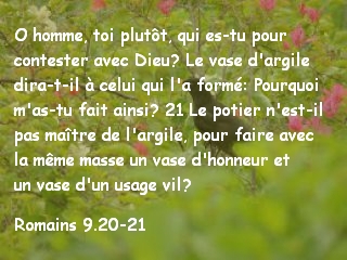 Romains 9.20-21