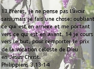 philippiens-3-13-14