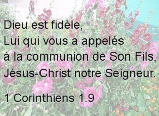 1 Corinthiens 1.9